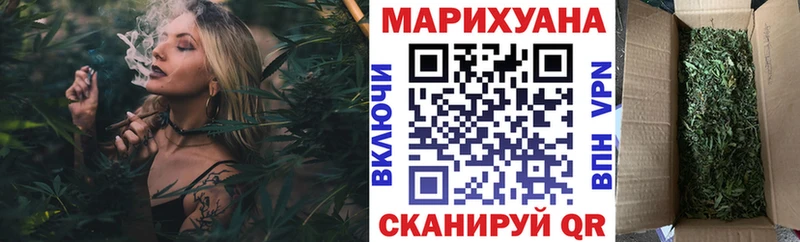 Каннабис планчик  Ачхой-Мартан 